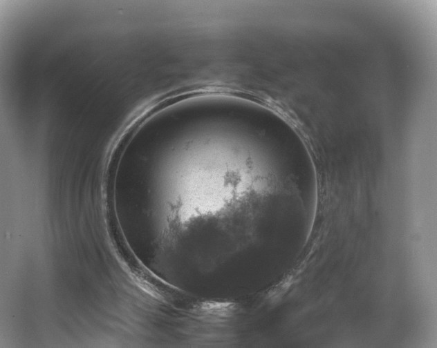 X0000067890055200604171347