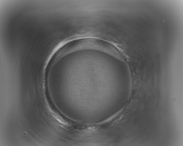 X0000067890056200604171347