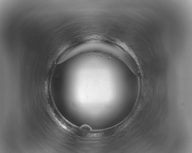 X0000067890057200604171347