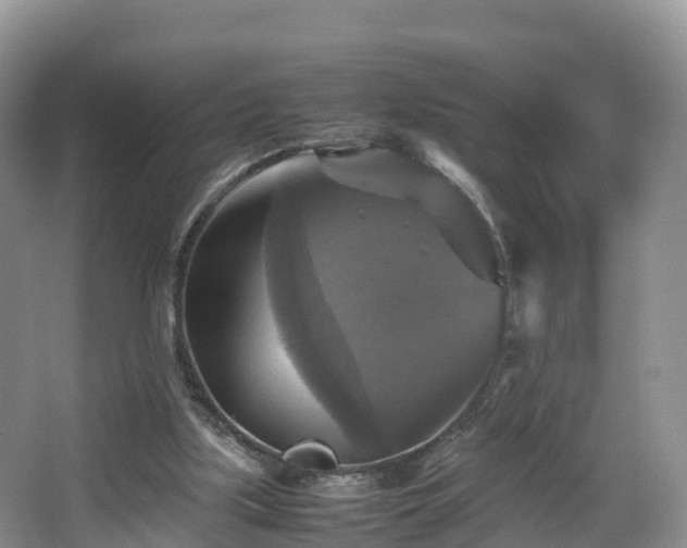 X0000067890059200604171348