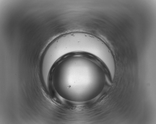 X0000067890060200604171348