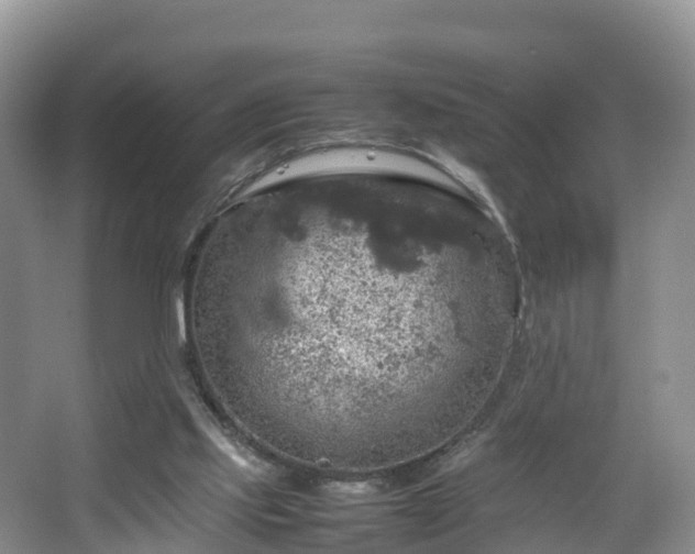 X0000067890061200604171348