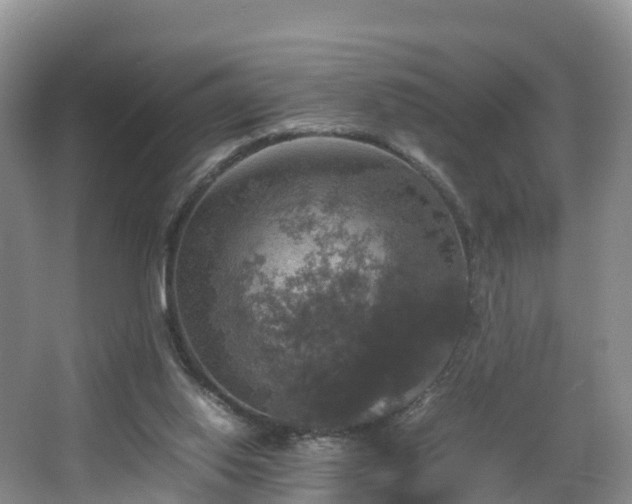 X0000067890062200604171348