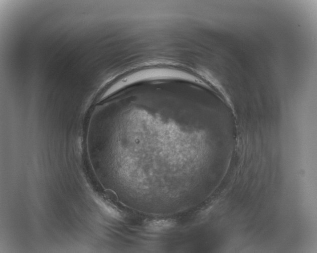 X0000067890063200604171348