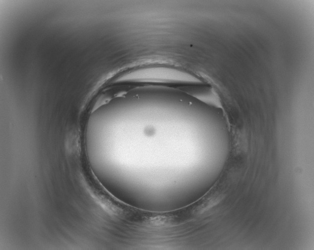 X0000067890064200604171348