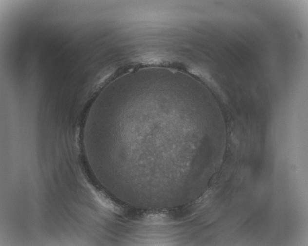 X0000067890066200604171348