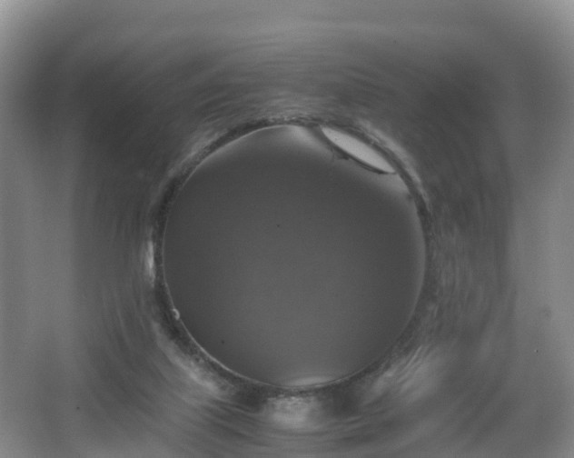 X0000067890067200604171348