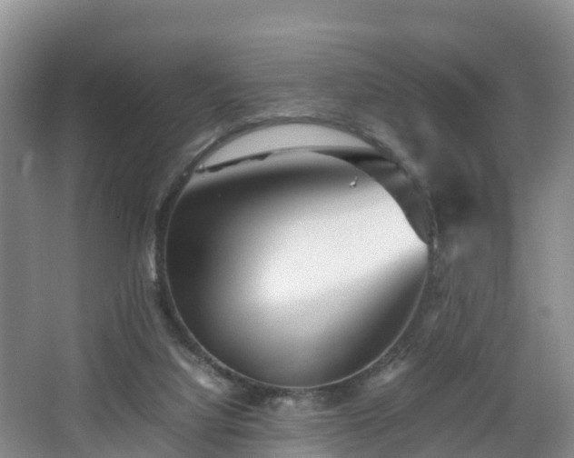 X0000067890068200604171348