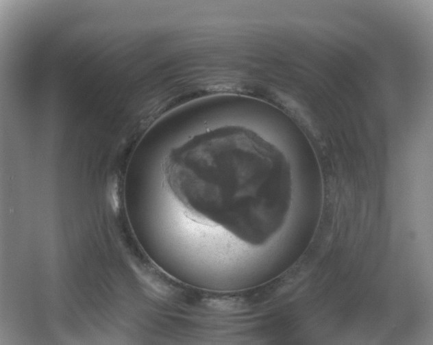 X0000067890069200604171348