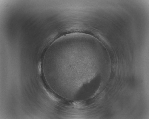 X0000067890070200604171348