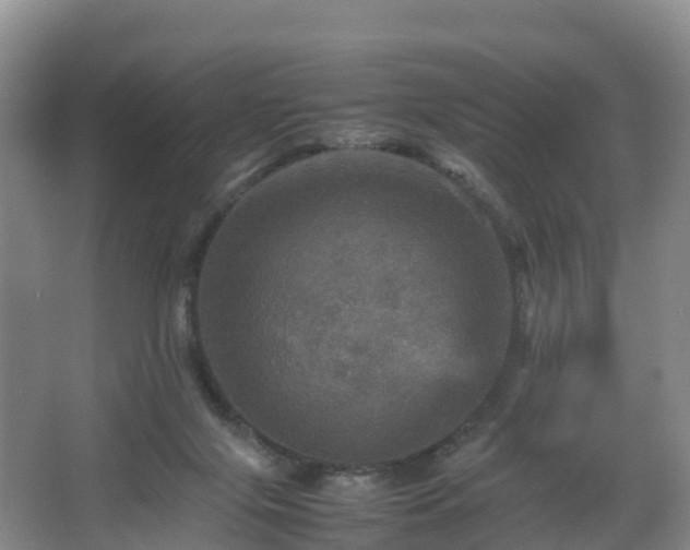 X0000067890071200604171348