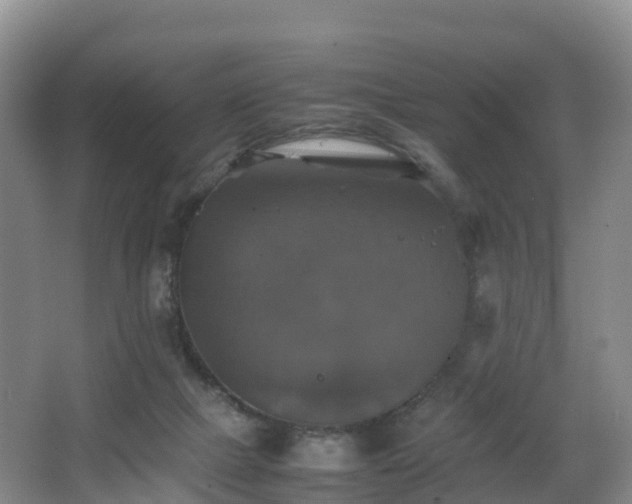 X0000067890073200604171348