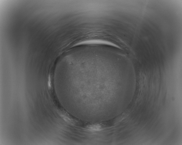 X0000067890075200604171348