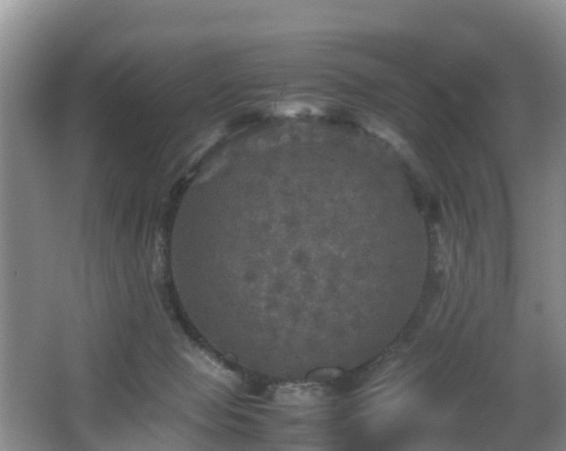 X0000067890077200604171348