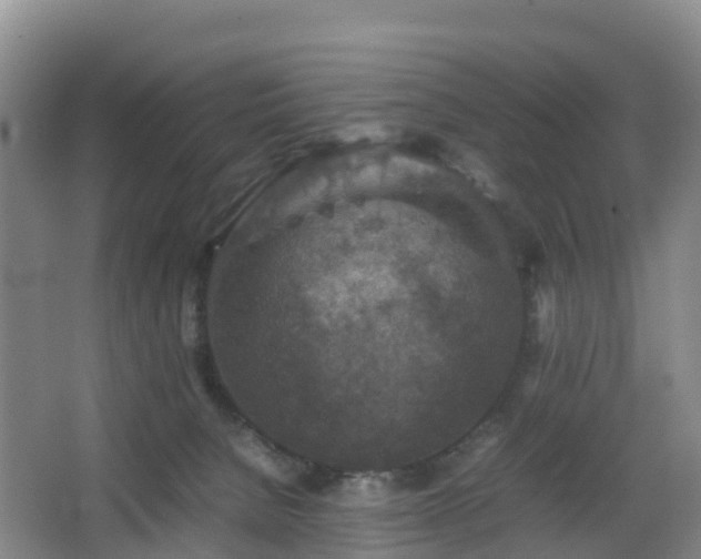 X0000067890080200604171348