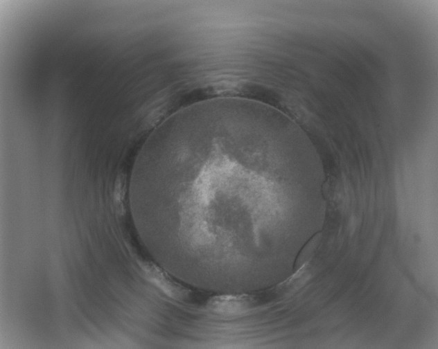 X0000067890082200604171348