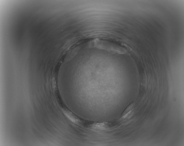 X0000067890086200604171348