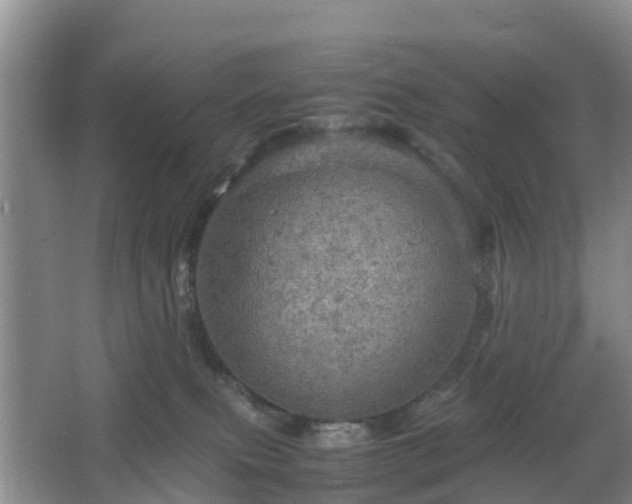 X0000067890087200604171348