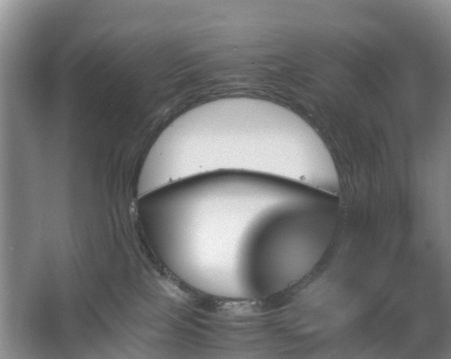 X0000067890089200604171348