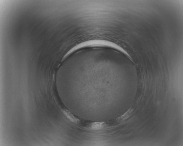 X0000067890090200604171348