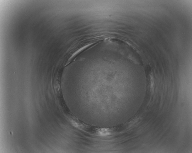 X0000067890091200604171348