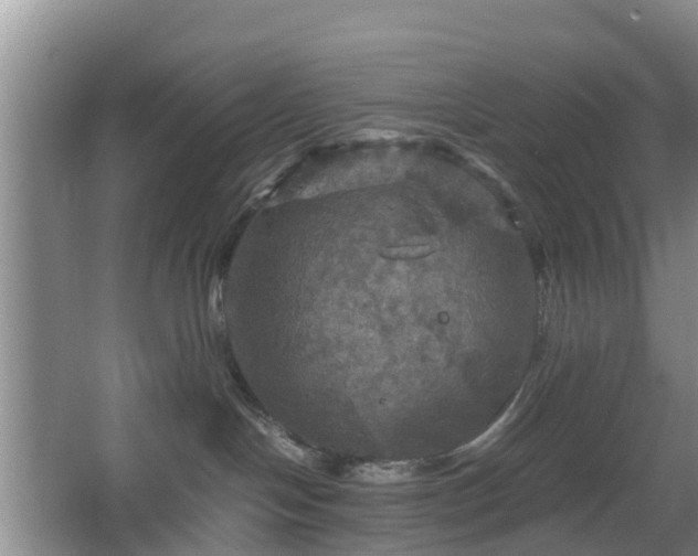 X0000067890094200604171348