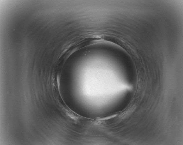 X0000067890096200604171348