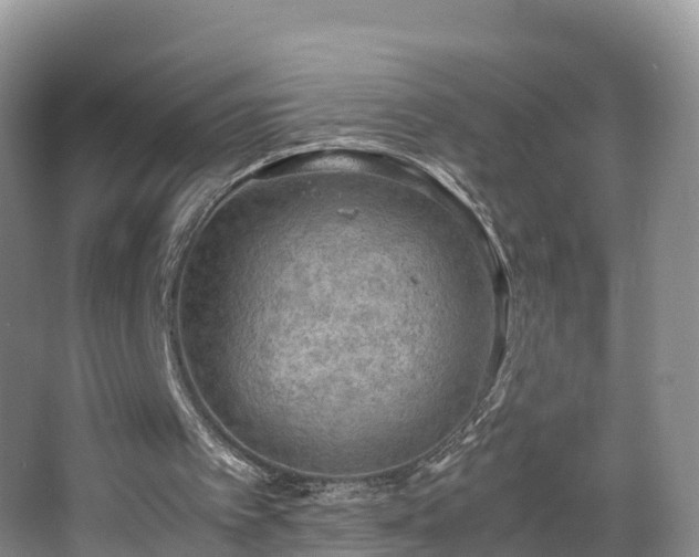 X0000067890097200604171347