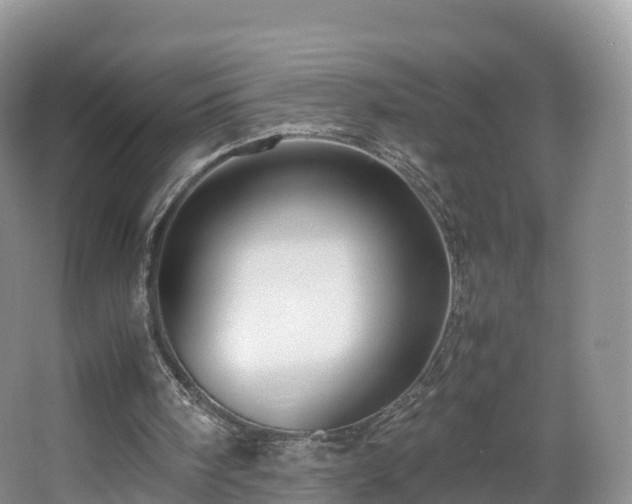 X0000067890098200604171347