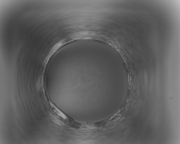 X0000067890099200604171347