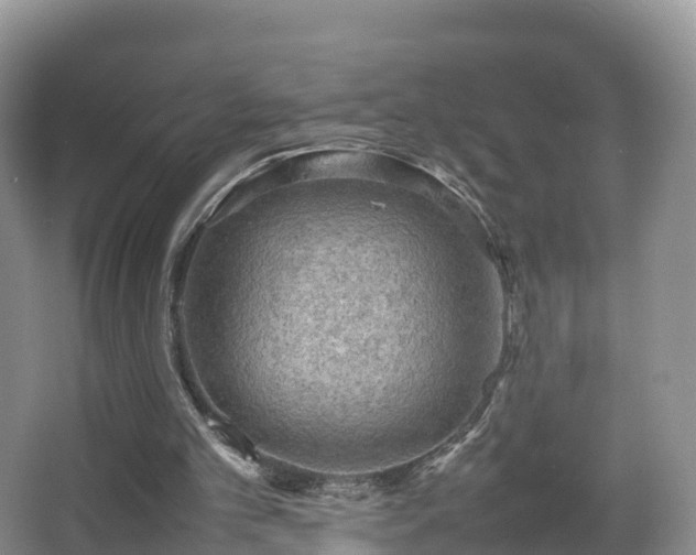 X0000067890101200604171347