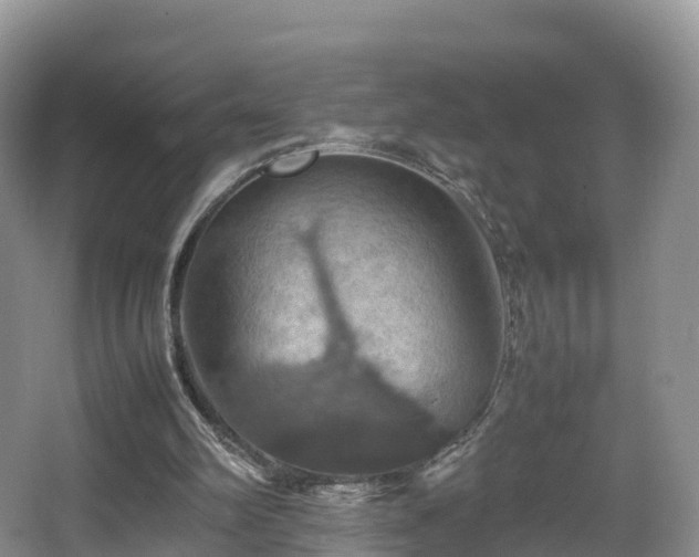 X0000067890102200604171347