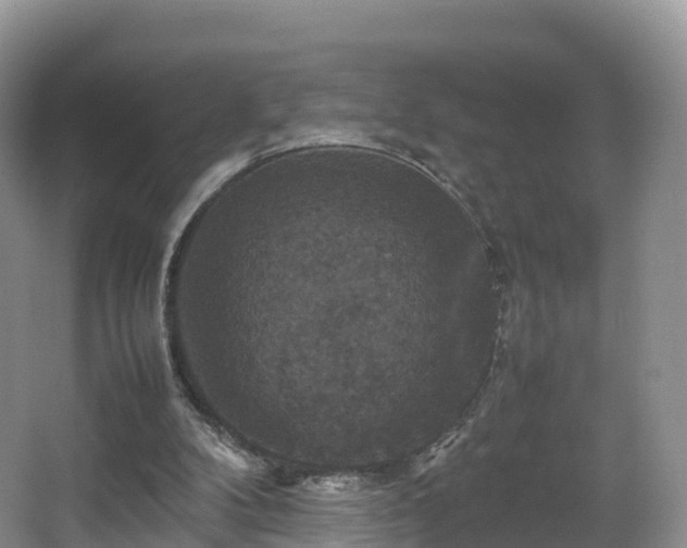 X0000067890104200604171347