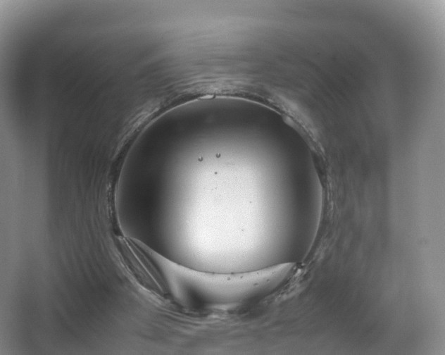 X0000067890105200604171347