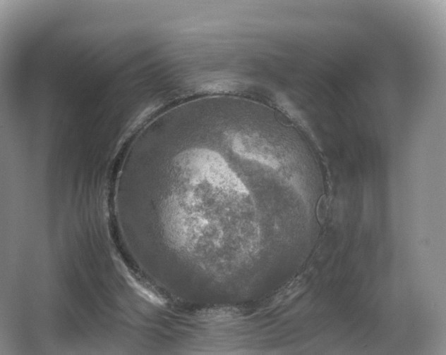 X0000067890106200604171347