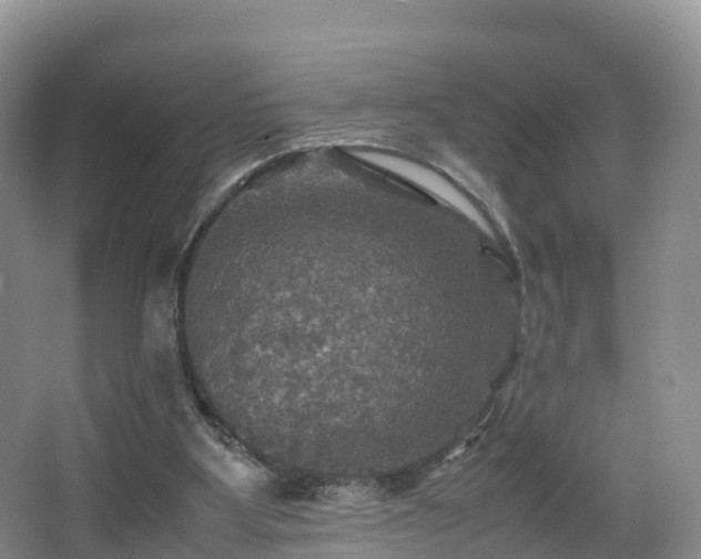 X0000067890107200604171347