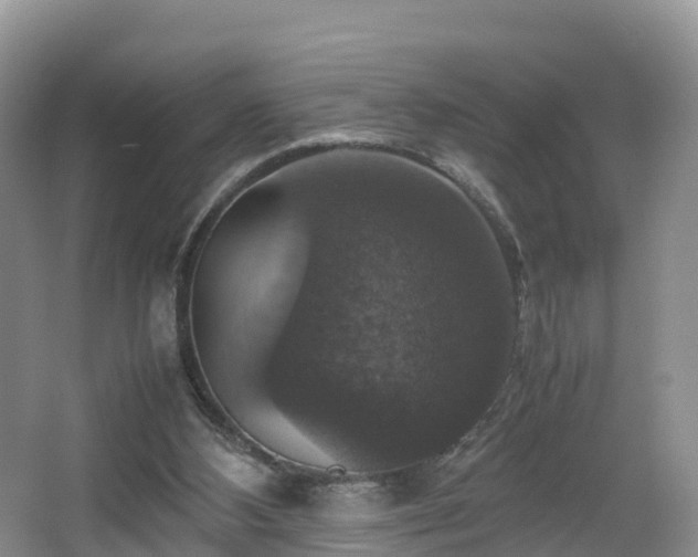 X0000067890108200604171347