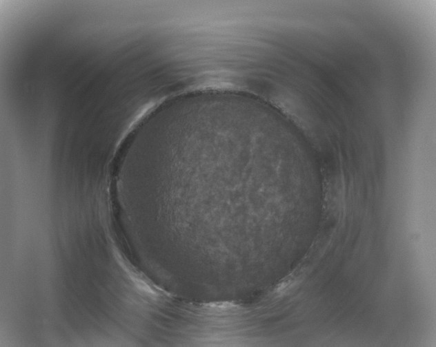 X0000067890112200604171347