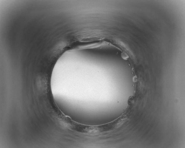 X0000067890113200604171347