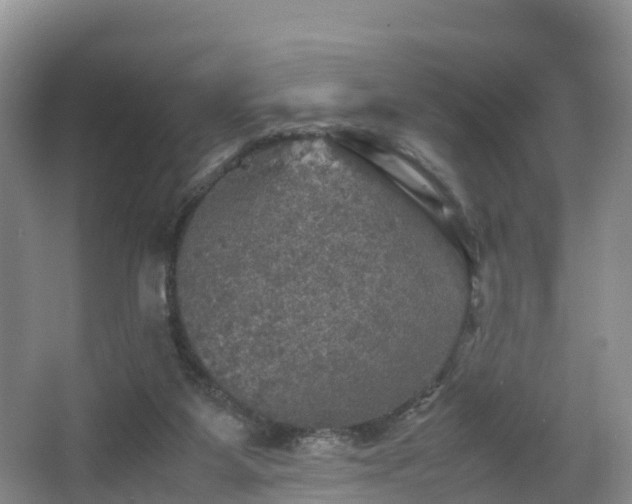 X0000067890115200604171347