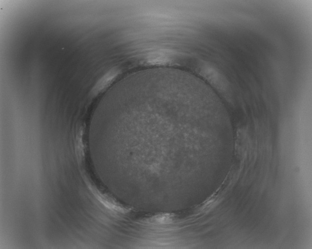 X0000067890116200604171347