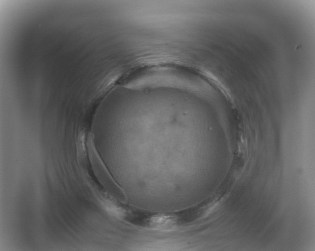 X0000067890117200604171347