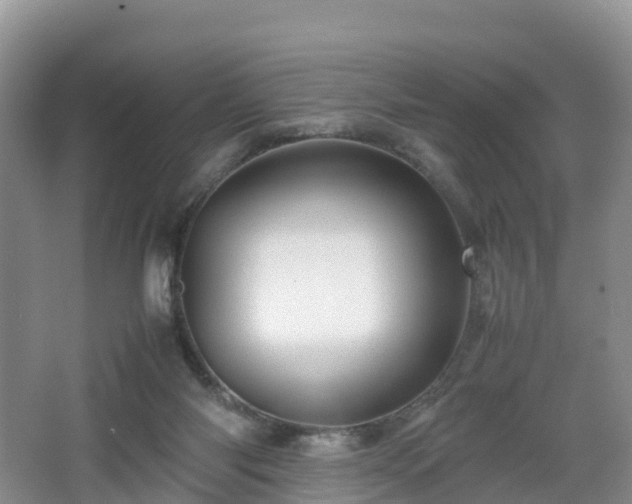 X0000067890118200604171347