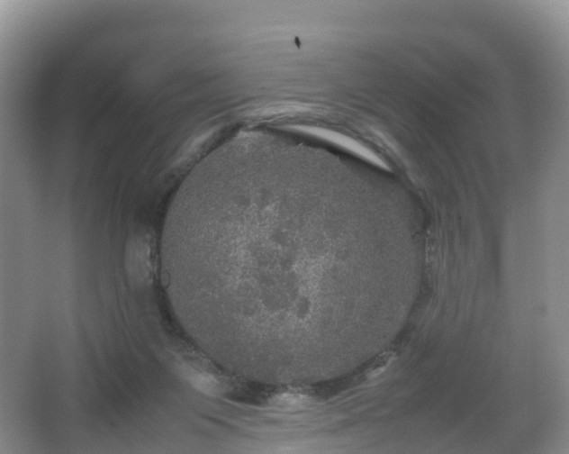 X0000067890119200604171347