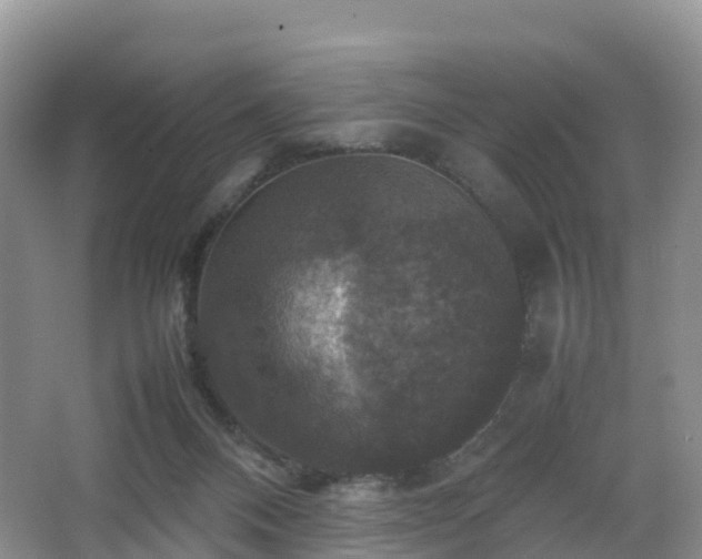 X0000067890120200604171347