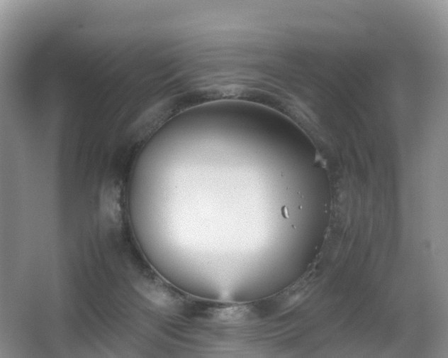 X0000067890122200604171347