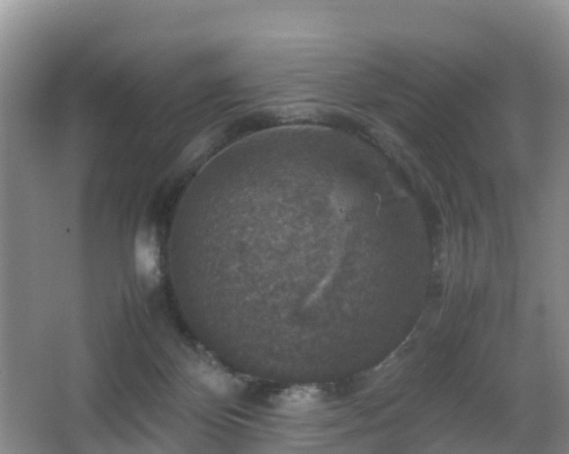 X0000067890124200604171347