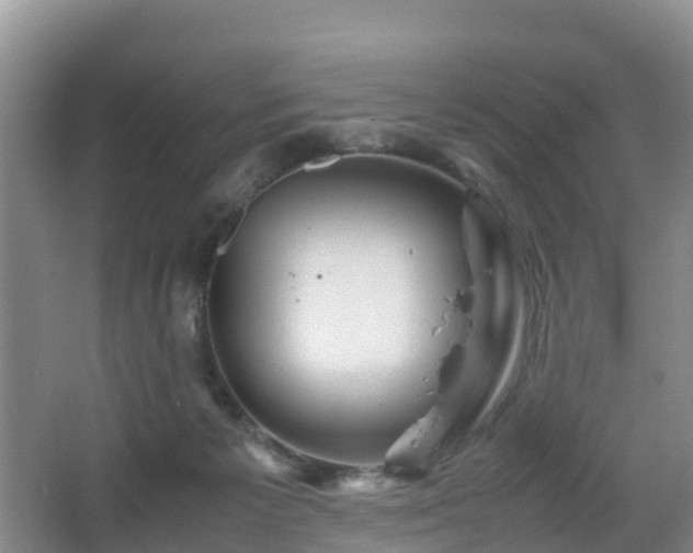 X0000067890125200604171347