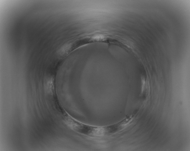 X0000067890127200604171347