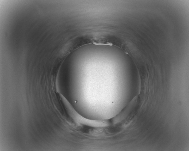 X0000067890129200604171347